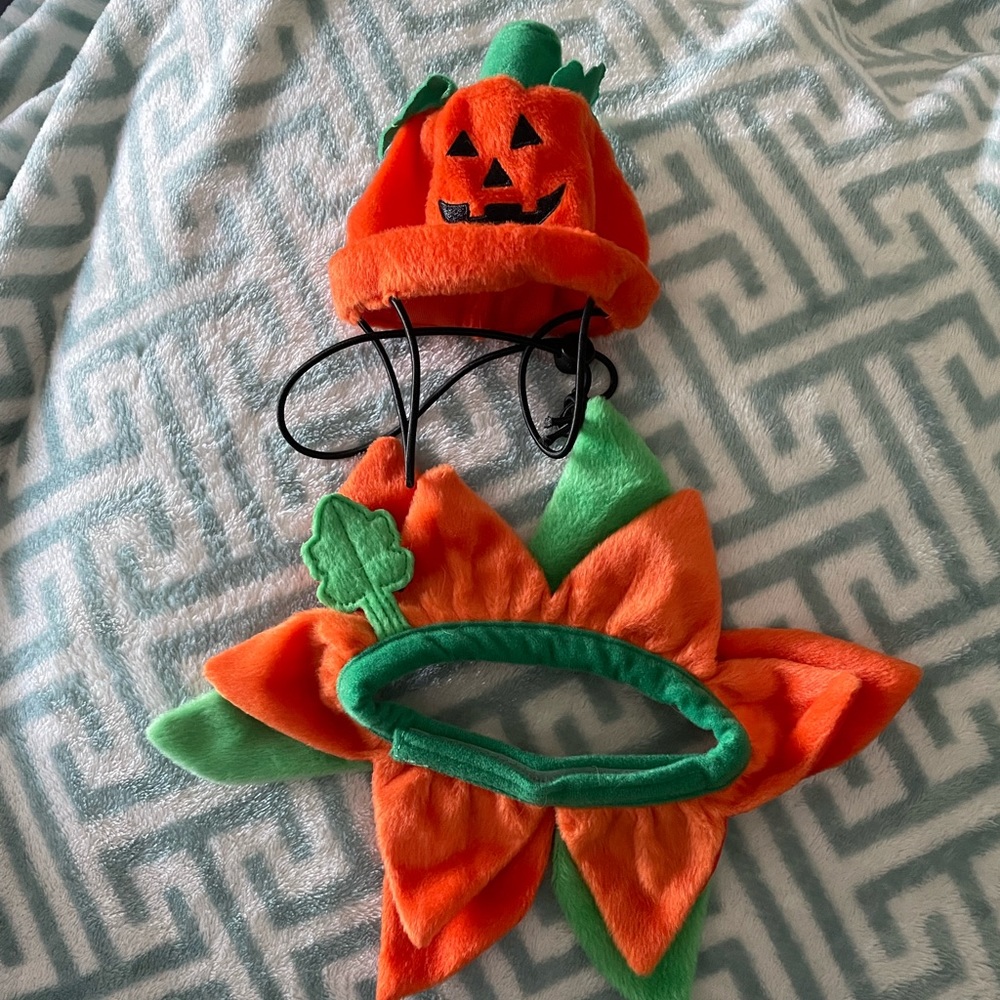 Cat costume
